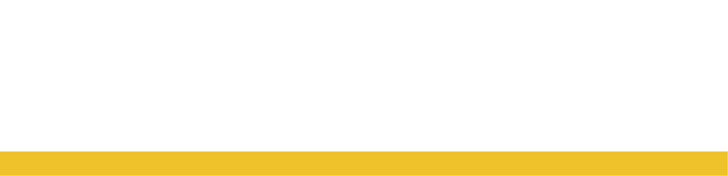 Braunschweiger Zeitung Logo