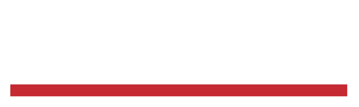 Frankfurter Neue Presse Logo